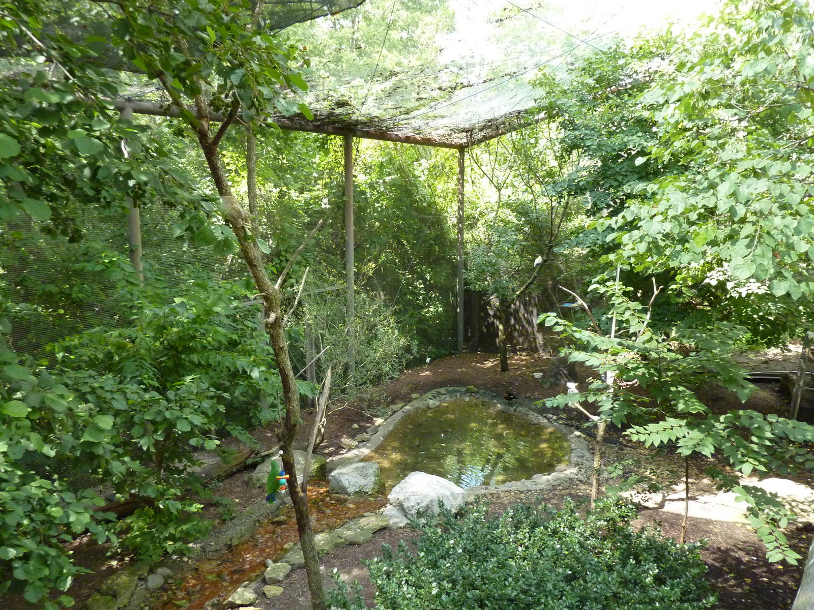 Australia - Walk-Through Aviary