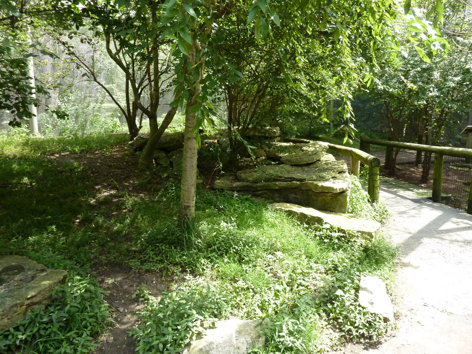 Australia - Walk-Through Aviary