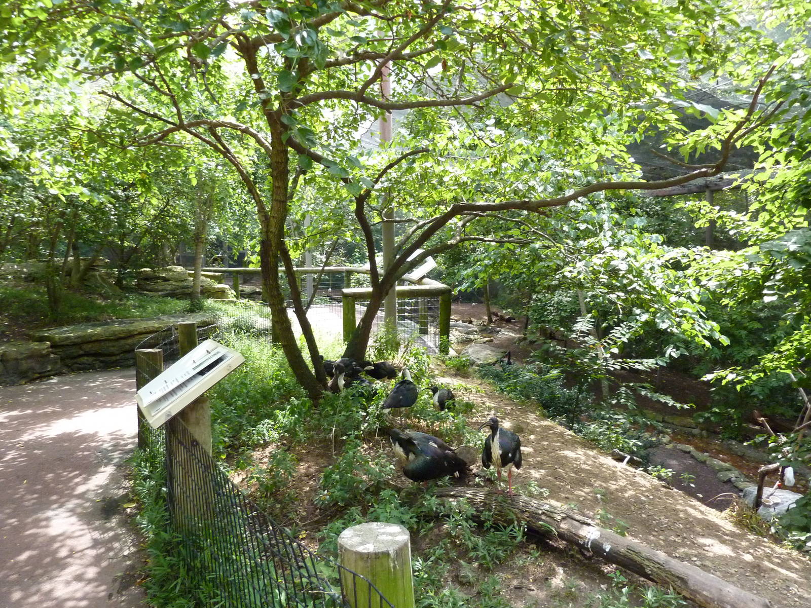 Australia - Walk-Through Aviary