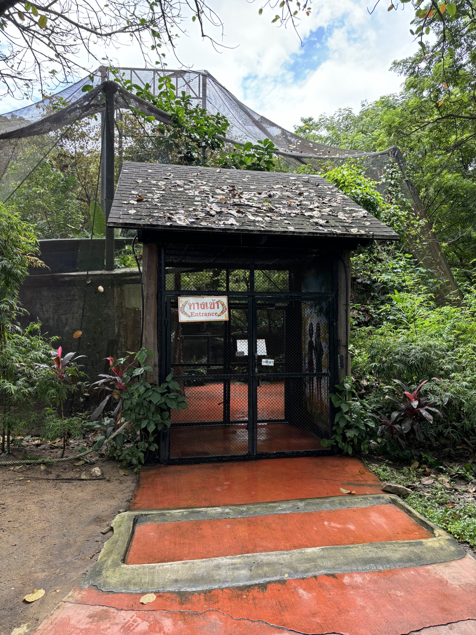 Australia - walk-through aviary