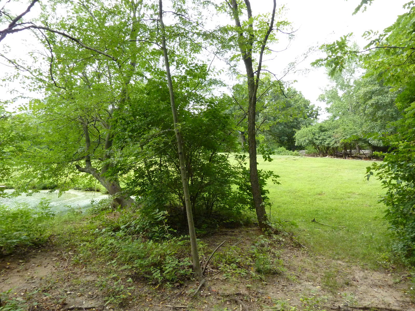 Australia - Walk-Through Red Kangaroo Enclosure
