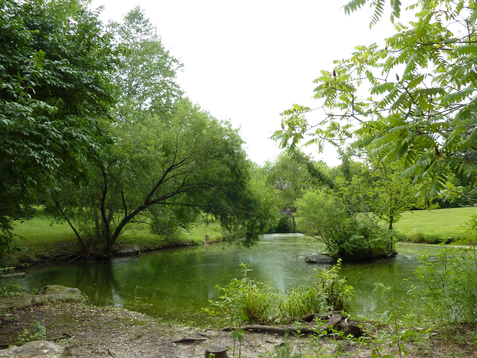 Australia - Walk-Through Red Kangaroo Enclosure
