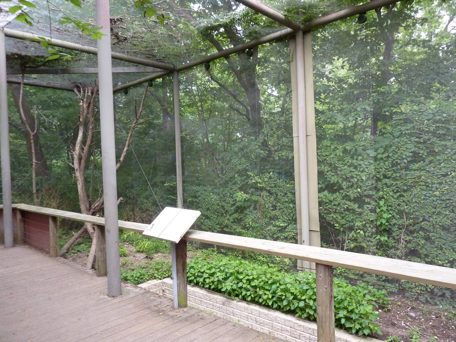 Australia - Walk-Through Tree Kangaroo Enclosure