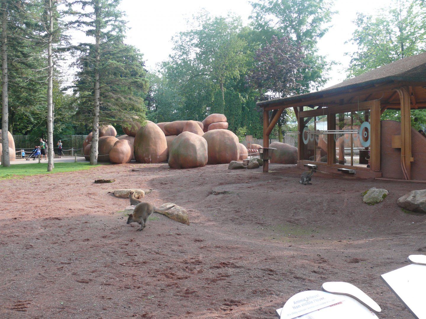 Australia walkabout - 24-08-2020