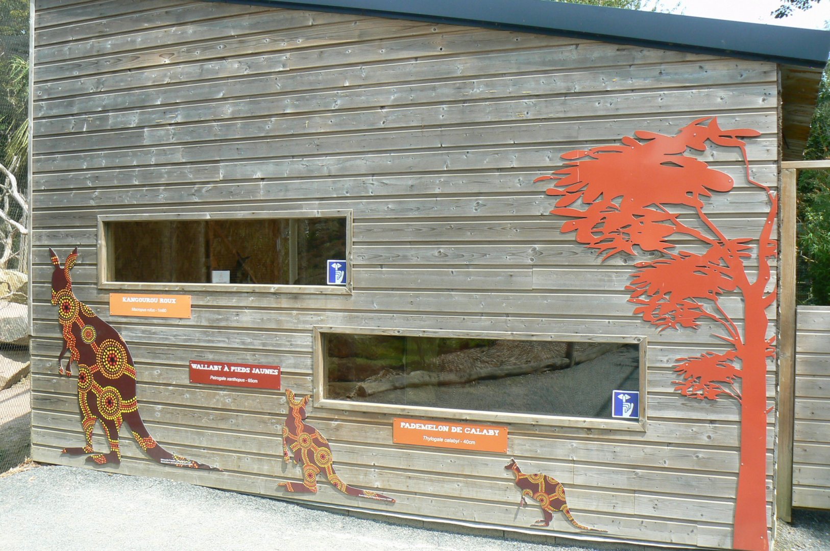 Australia walkthrough aviary - Viewing windows into the house