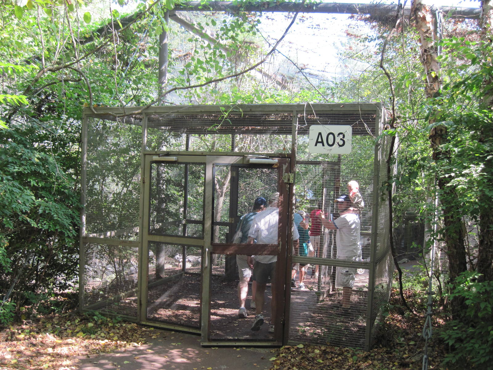 Australia-Walkthrough Aviary