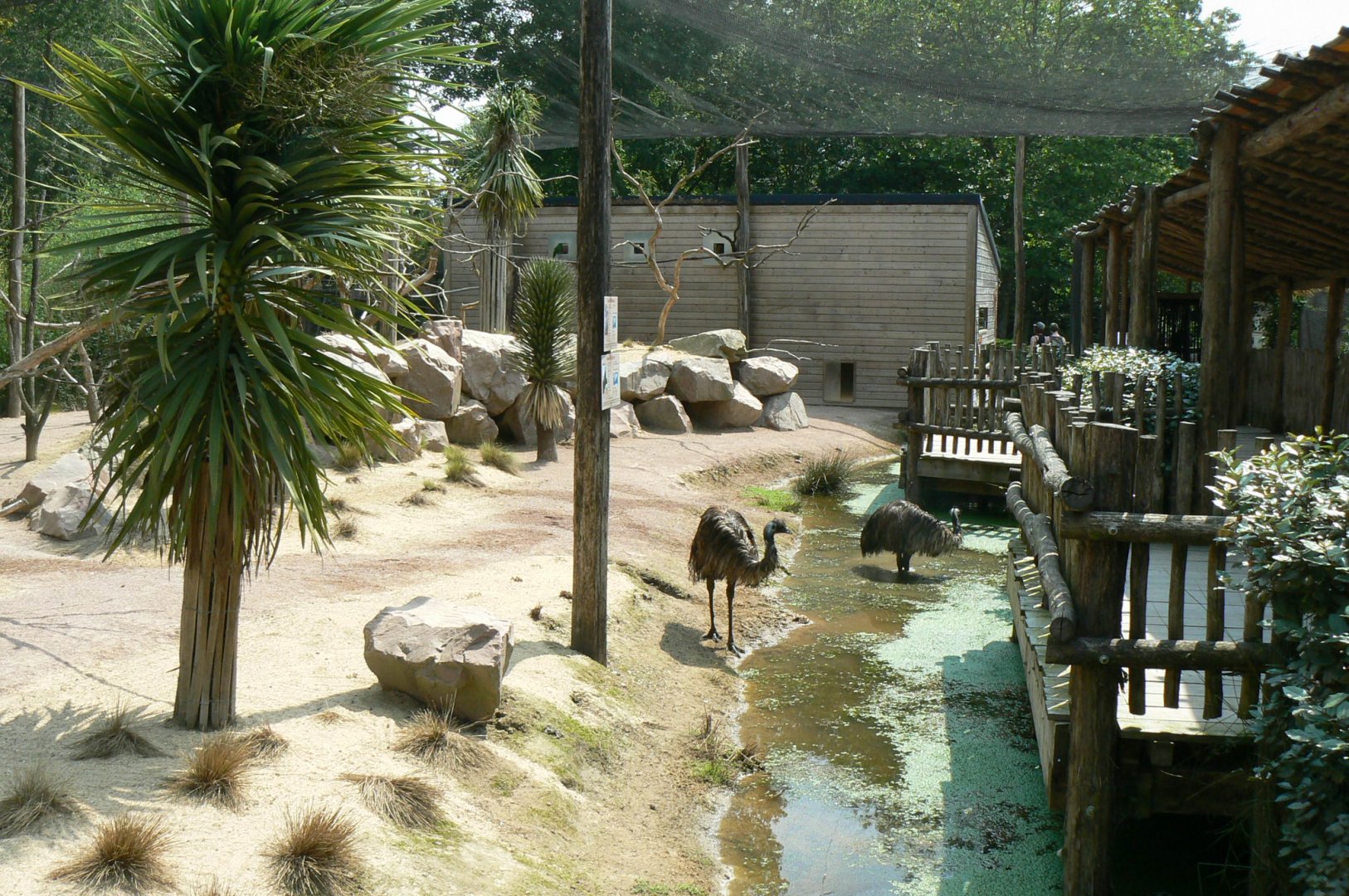 Australia walkthrough aviary