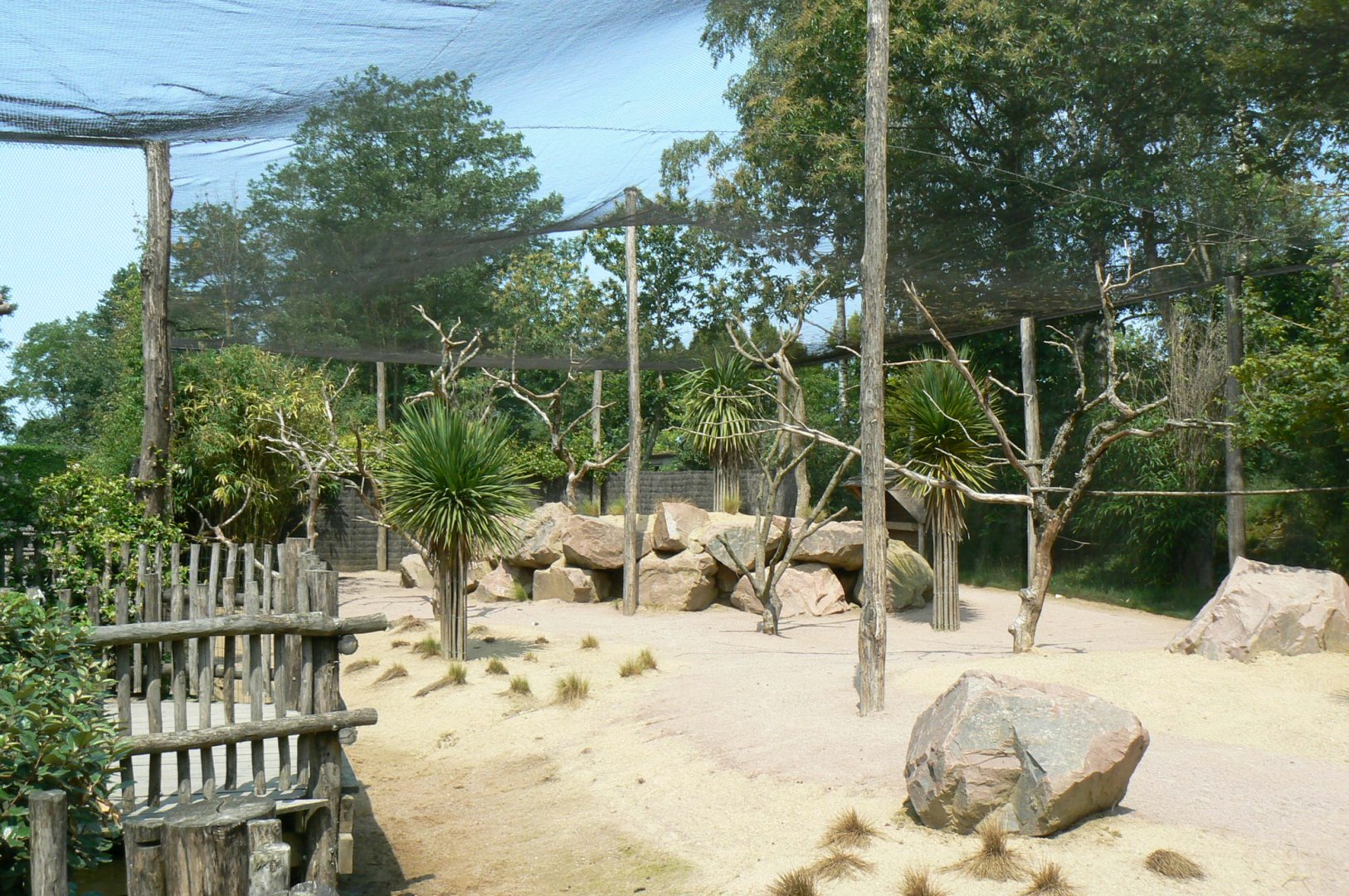 Australia walkthrough aviary