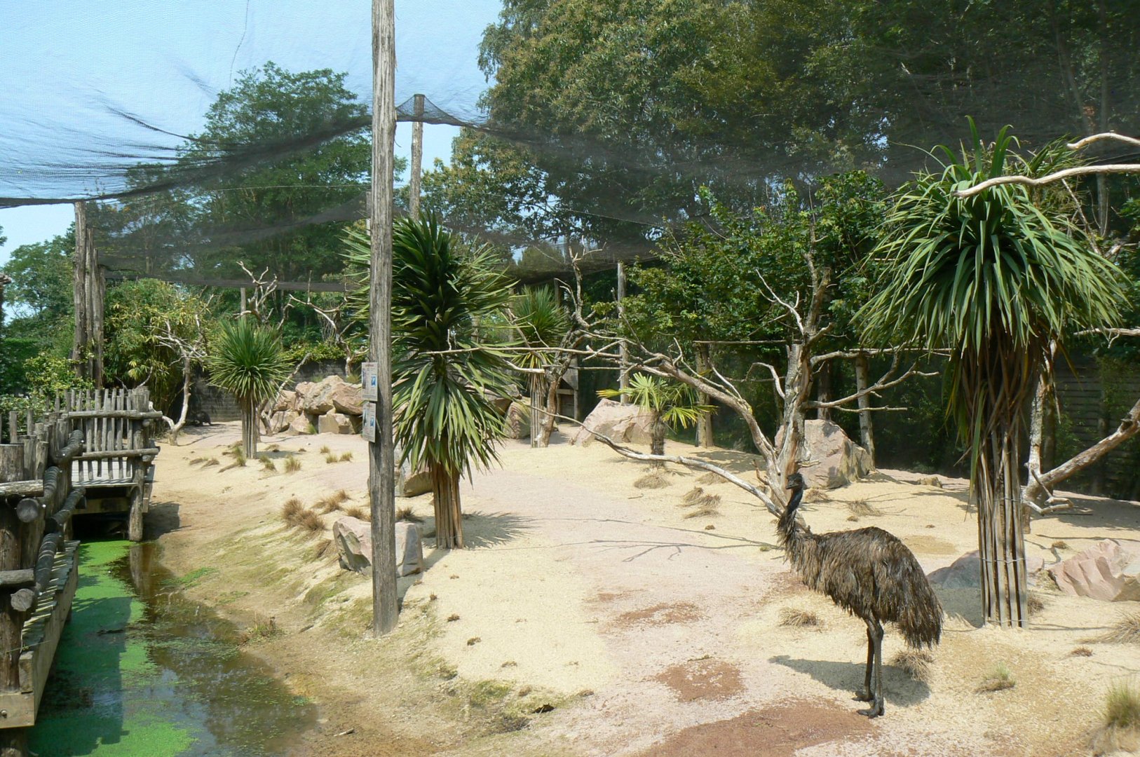 Australia walkthrough aviary