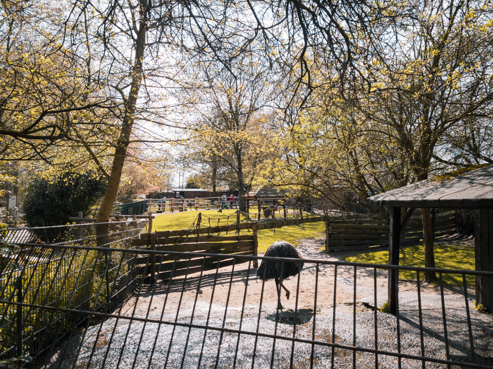 Australia walktrough