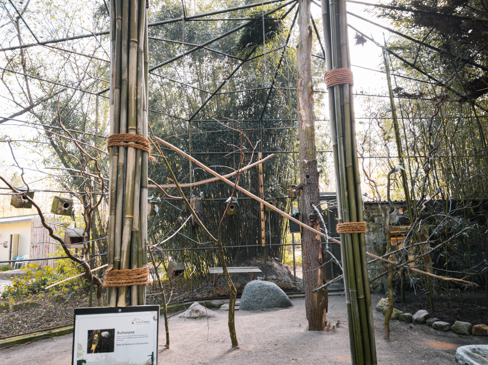 Australia walktrough