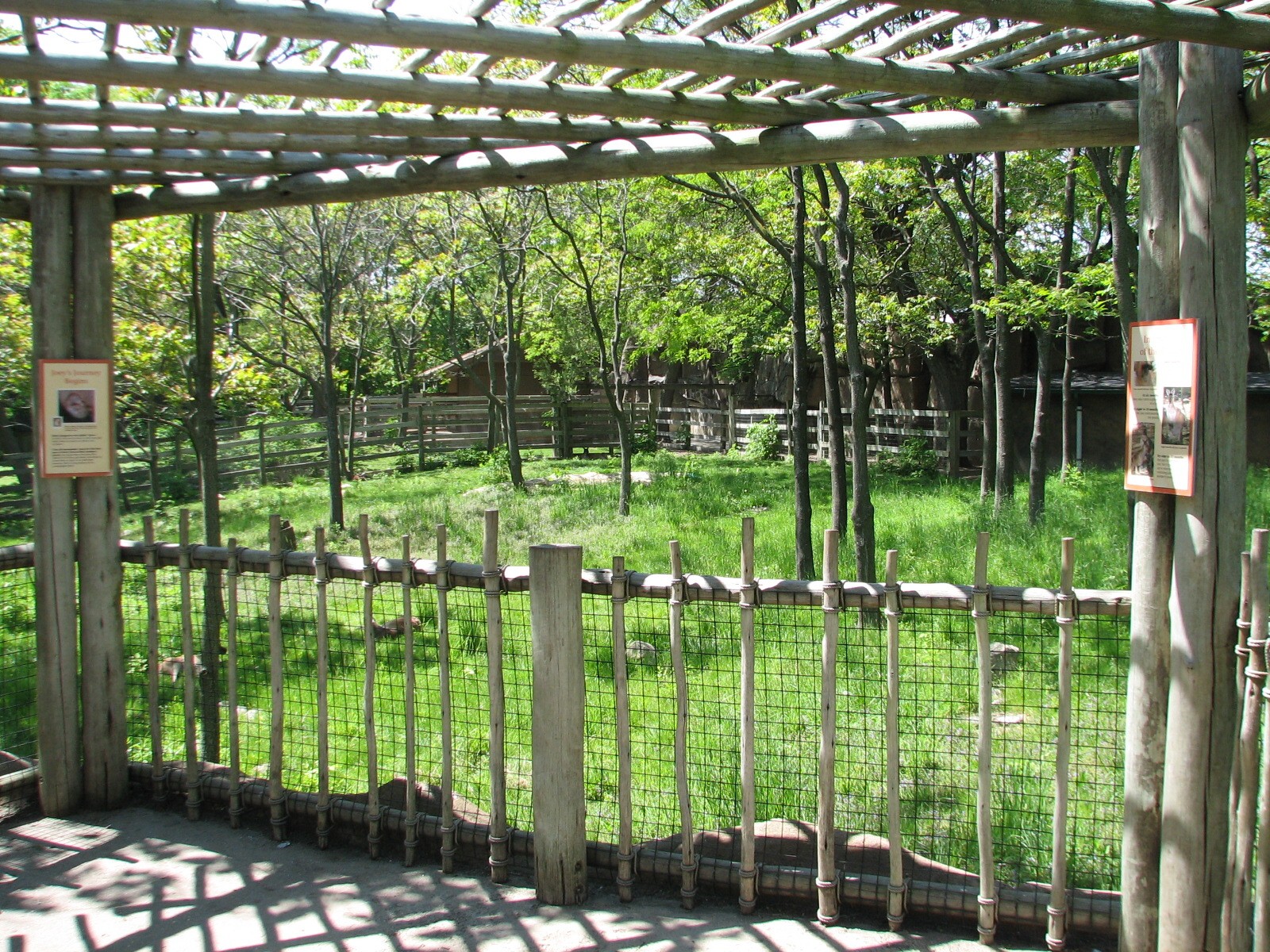 Australia - Western Gray Kangaroo and Emu Exhibit