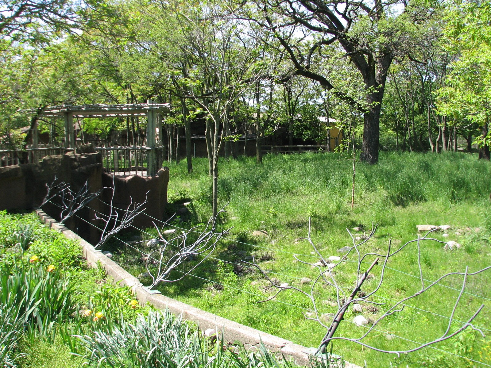 Australia - Western Gray Kangaroo and Emu Exhibit