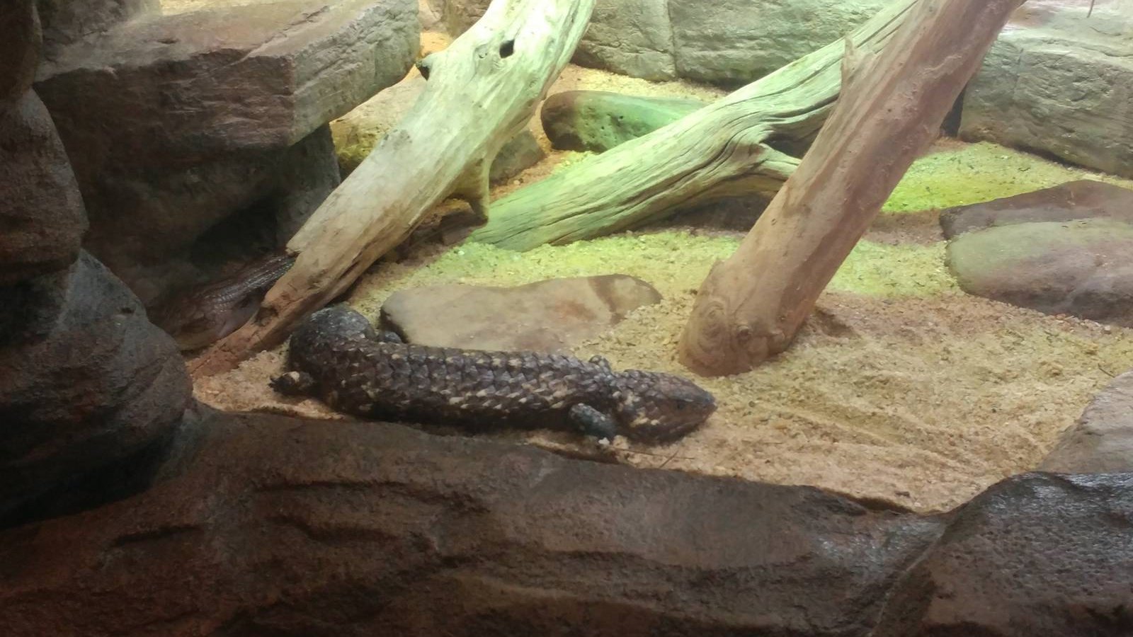 Australia: Wild Extreme