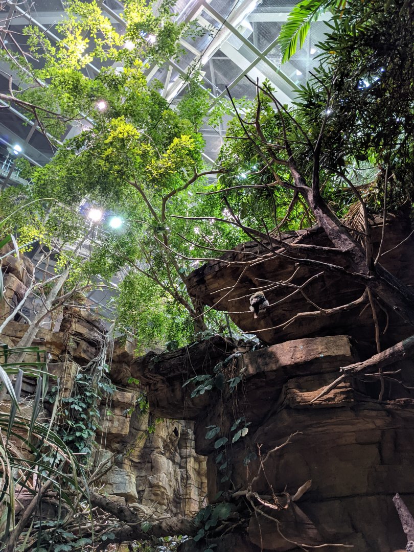 Australia: Wild Extremes