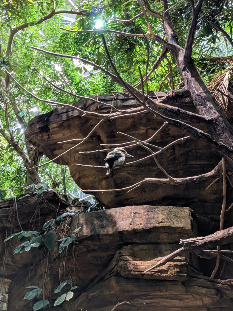 Australia: Wild Extremes