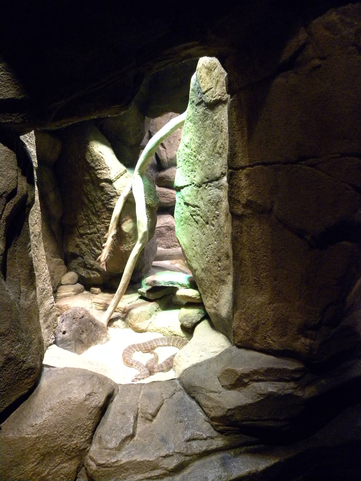 Australia: Wild Extremes