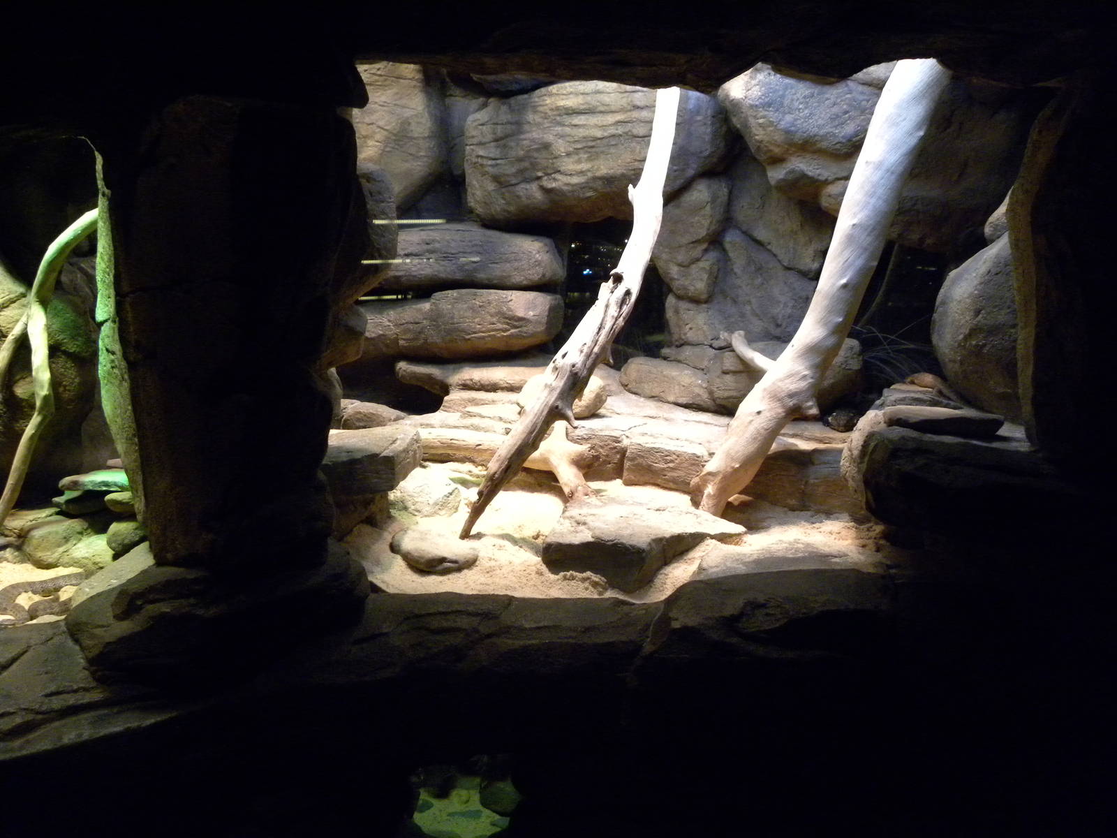 Australia: Wild Extremes