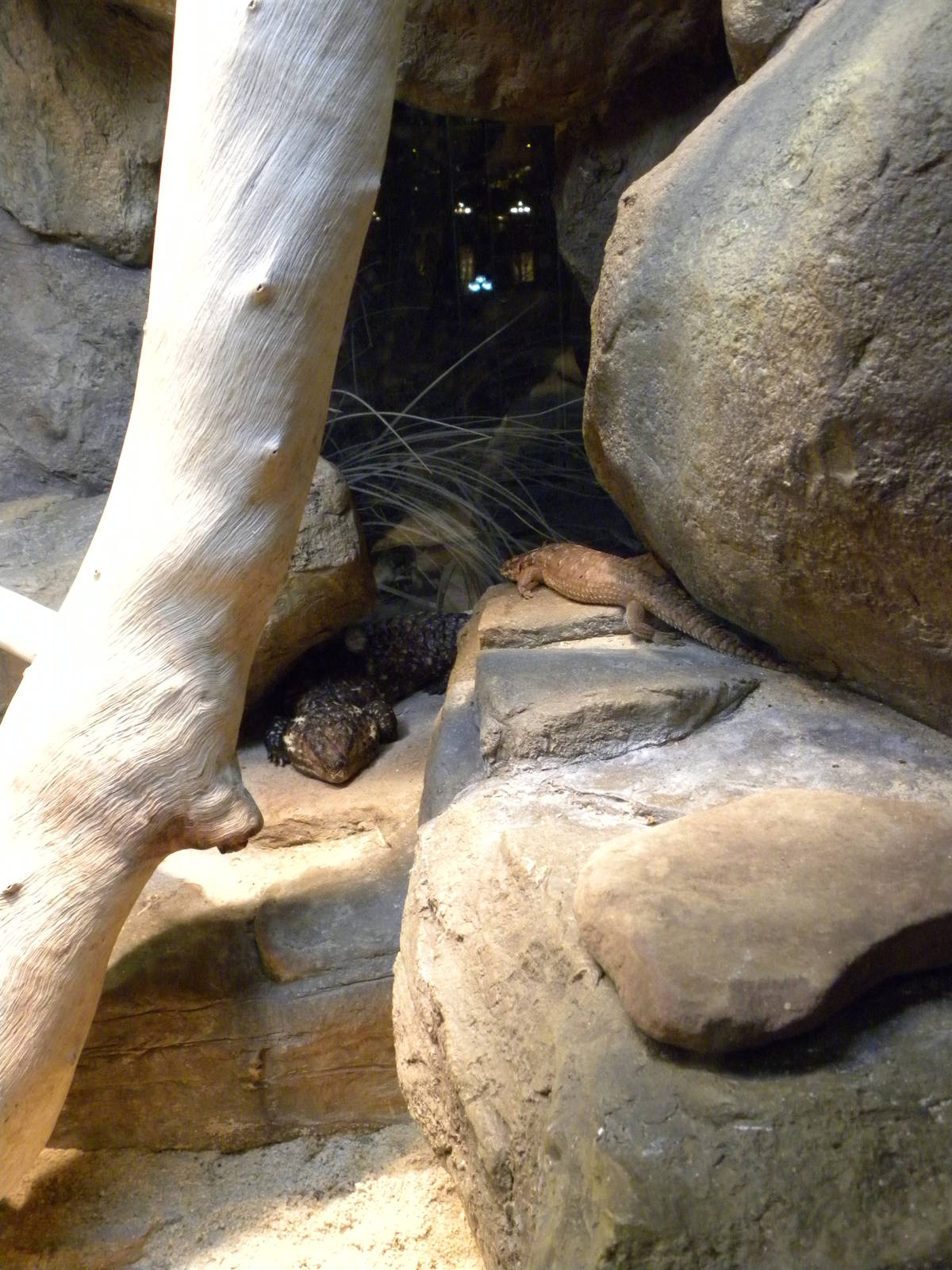 Australia: Wild Extremes