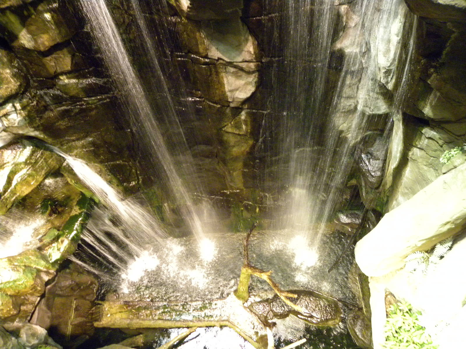 Australia: Wild Extremes