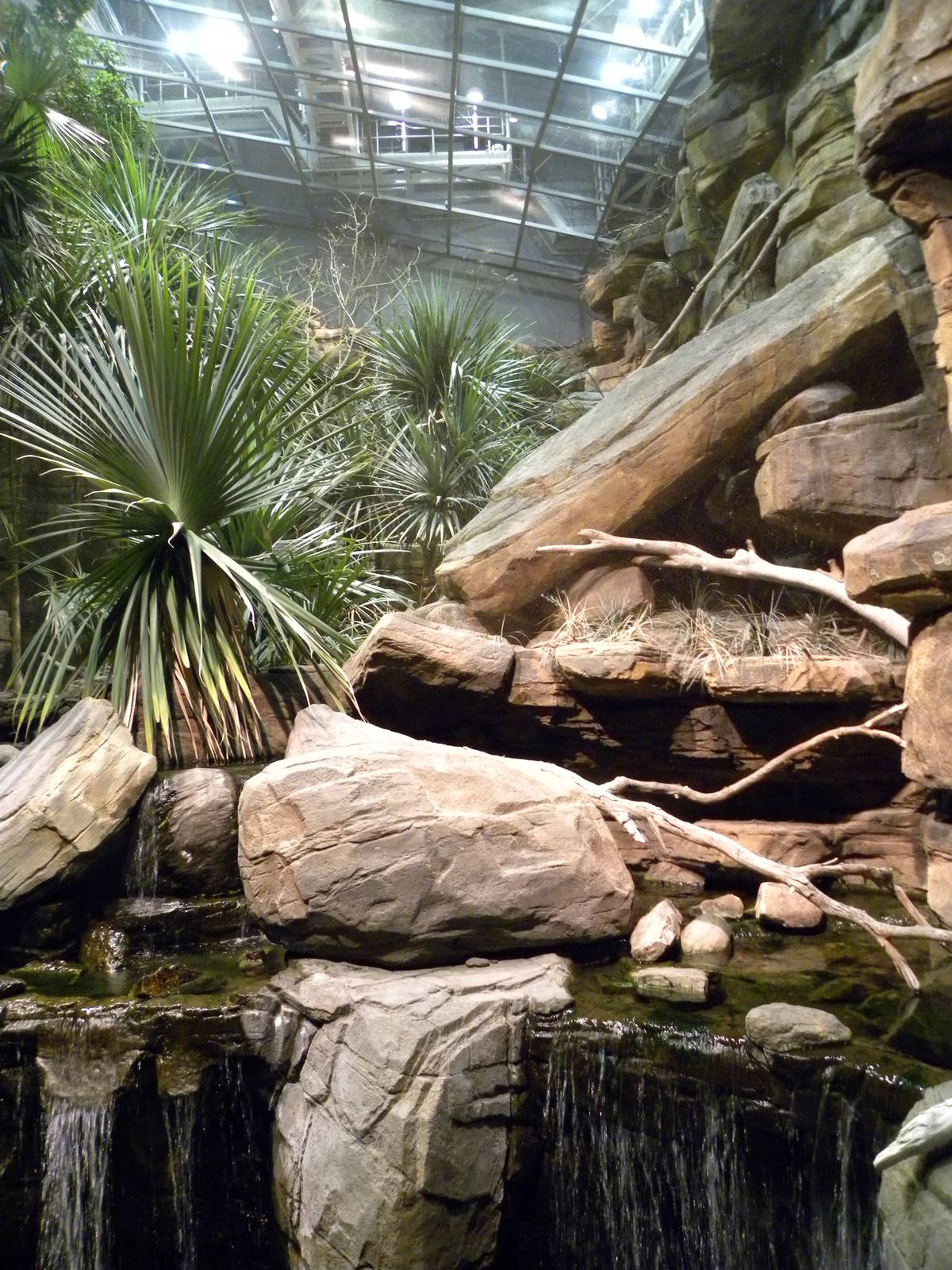 Australia: Wild Extremes