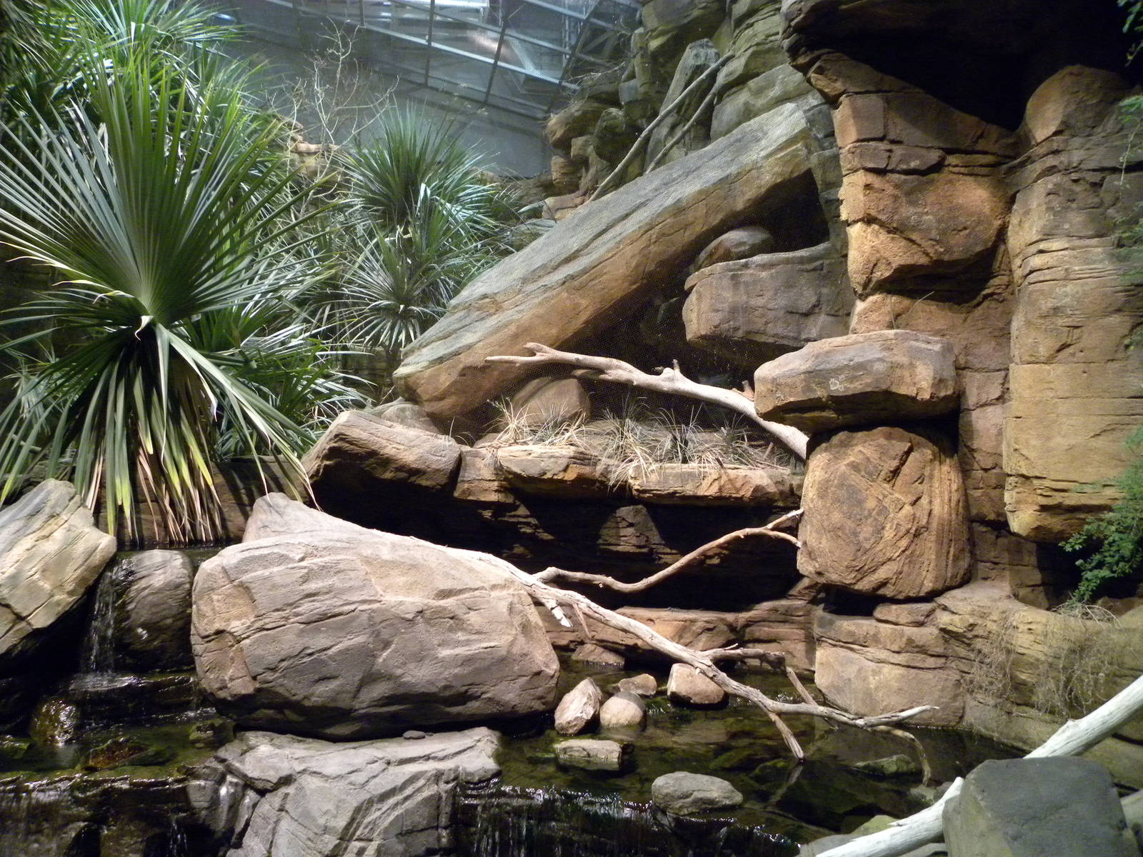 Australia: Wild Extremes