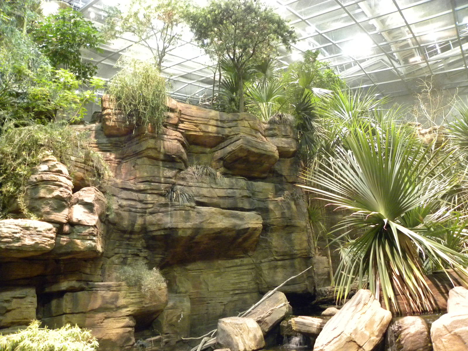 Australia: Wild Extremes