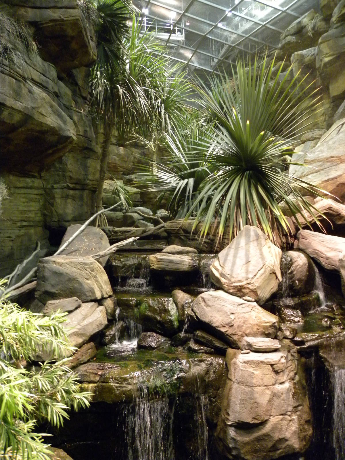 Australia: Wild Extremes