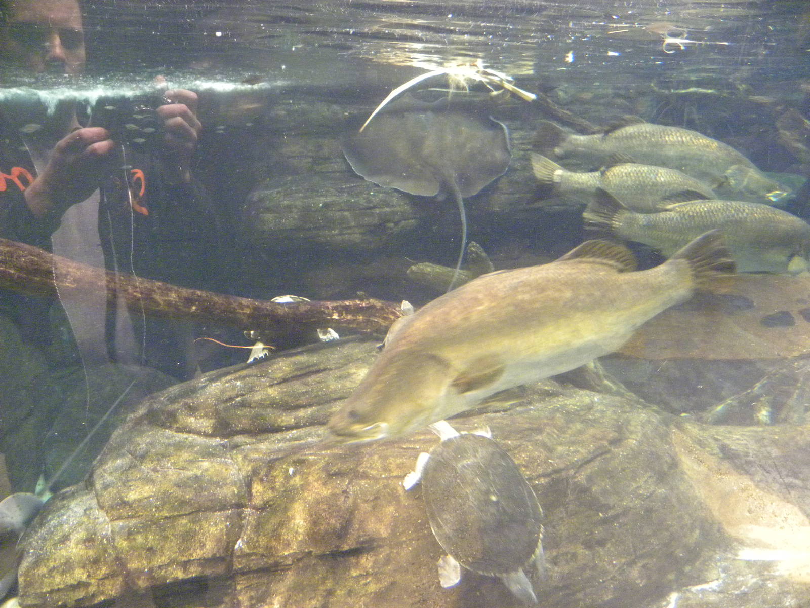 Australia: Wild Extremes