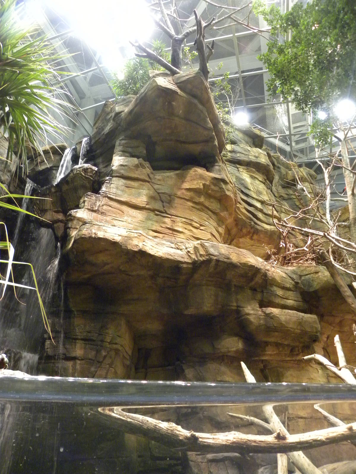 Australia: Wild Extremes