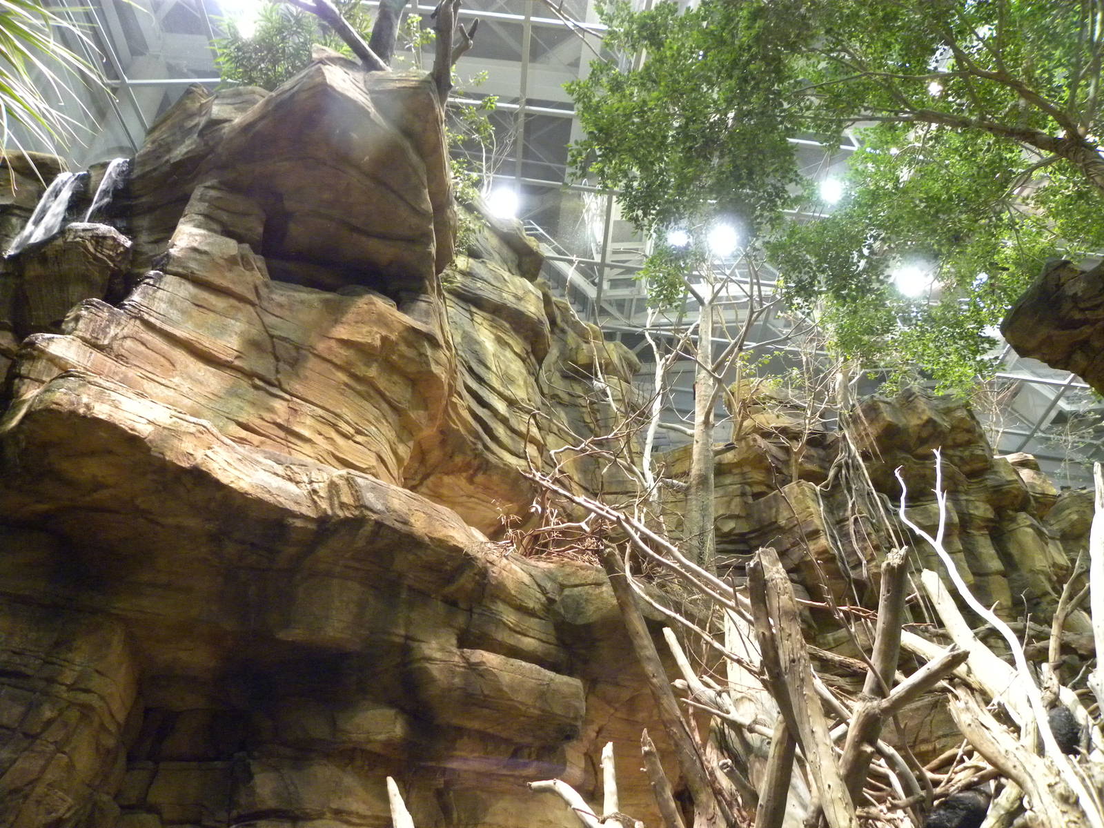 Australia: Wild Extremes