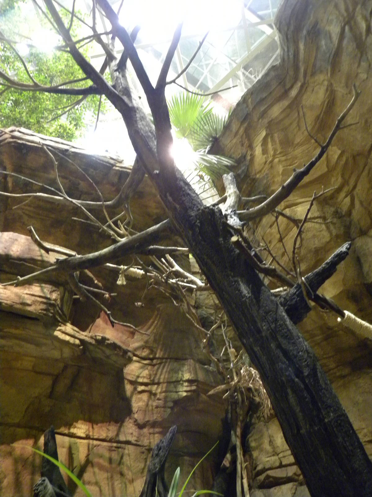 Australia: Wild Extremes