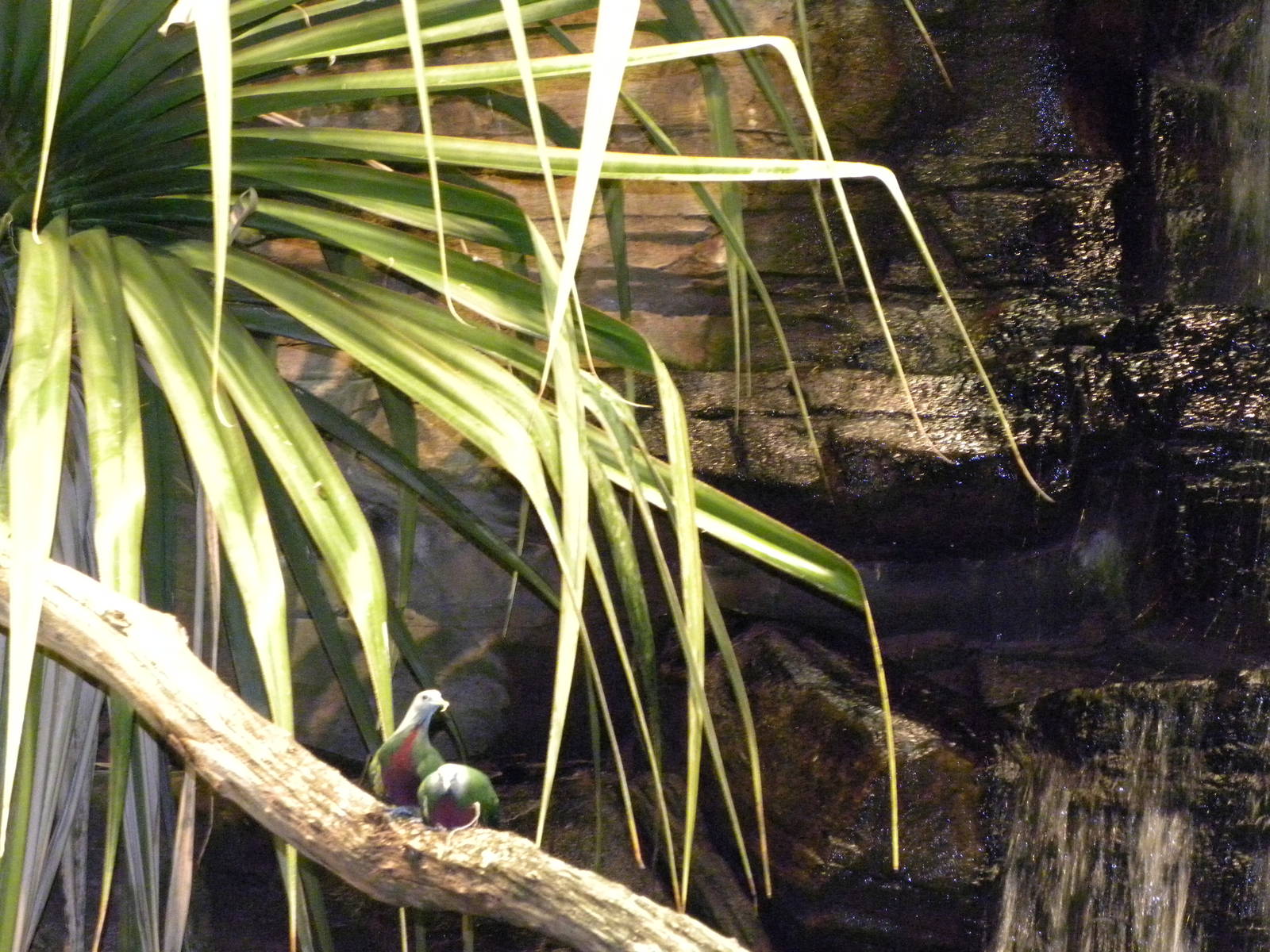 Australia: Wild Extremes