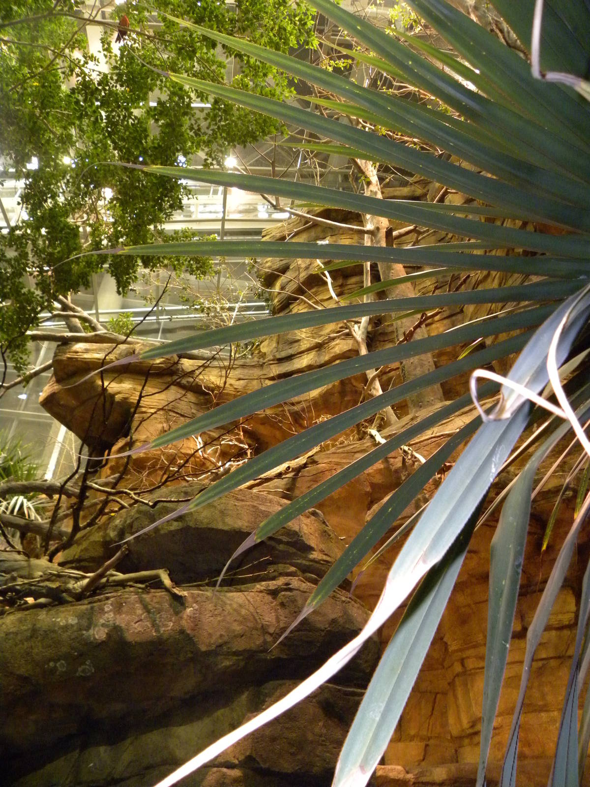 Australia: Wild Extremes