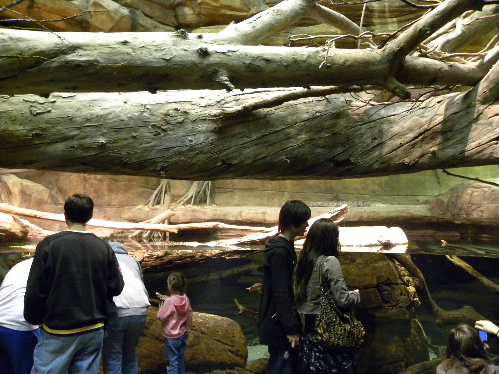 Australia: Wild Extremes