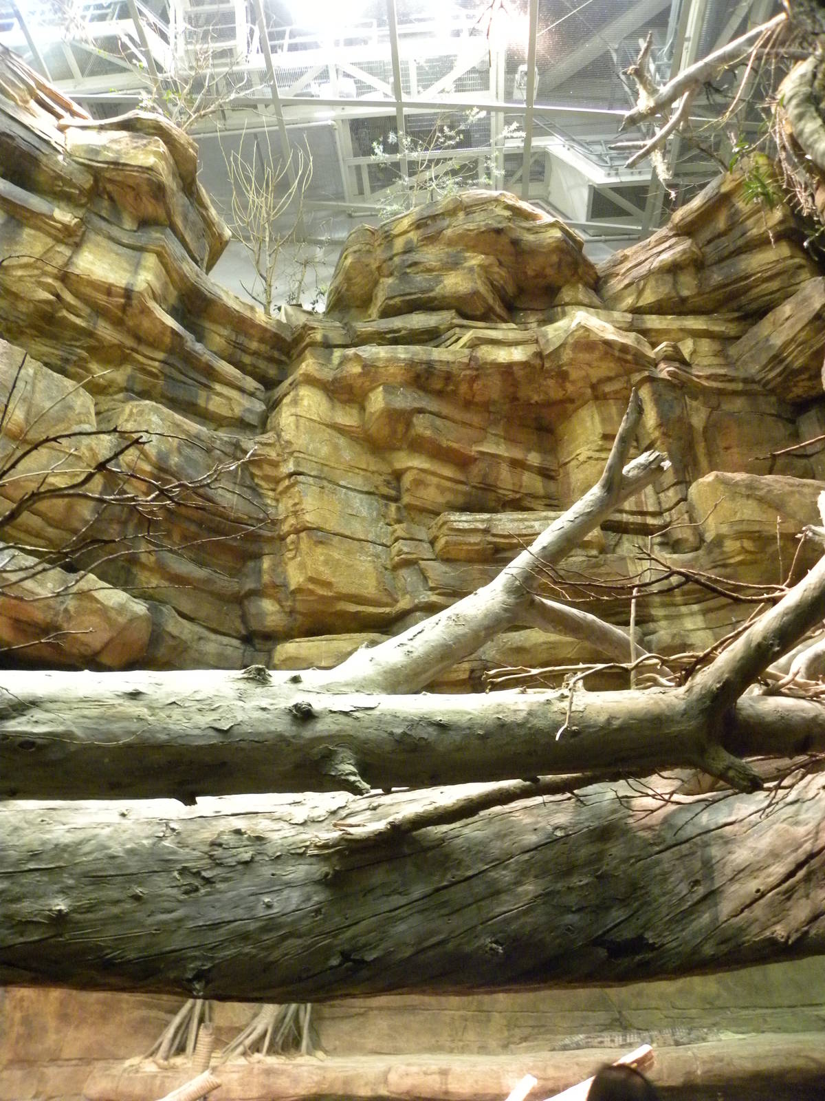 Australia: Wild Extremes