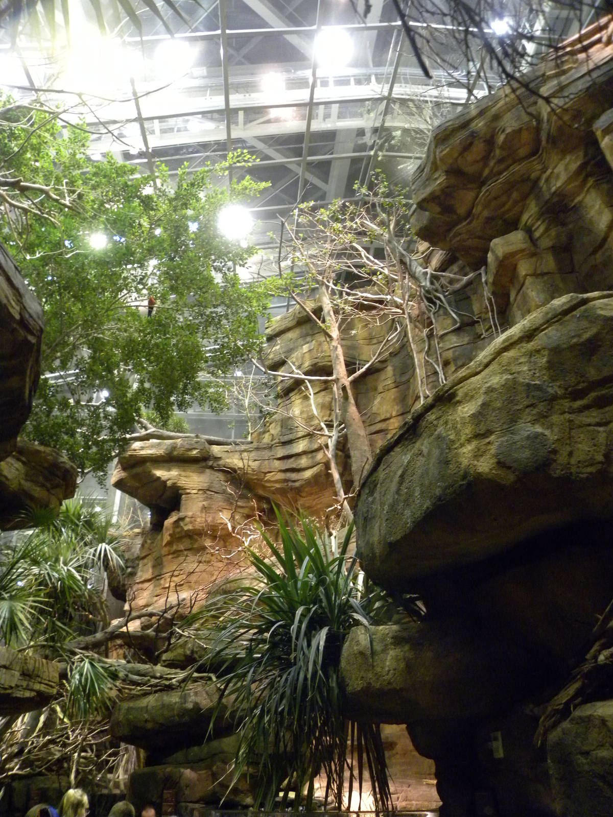 Australia: Wild Extremes