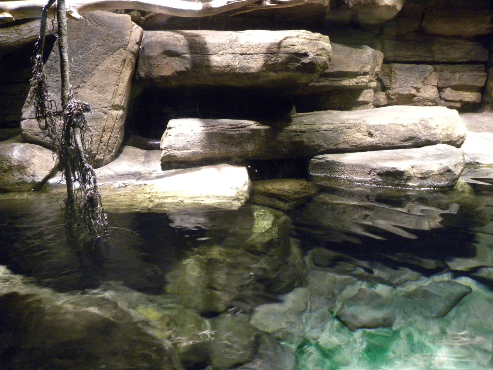 Australia: Wild Extremes