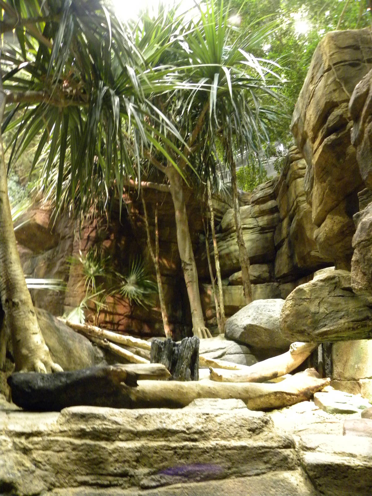 Australia: Wild Extremes