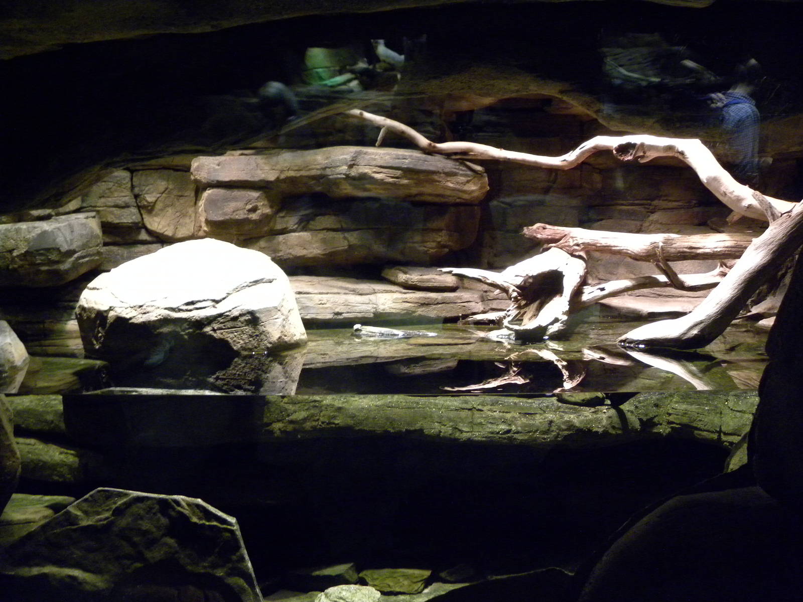 Australia: Wild Extremes