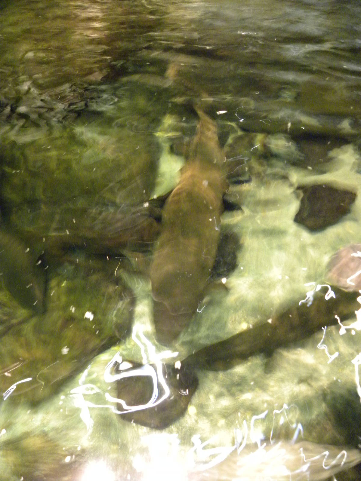 Australia: Wild Extremes