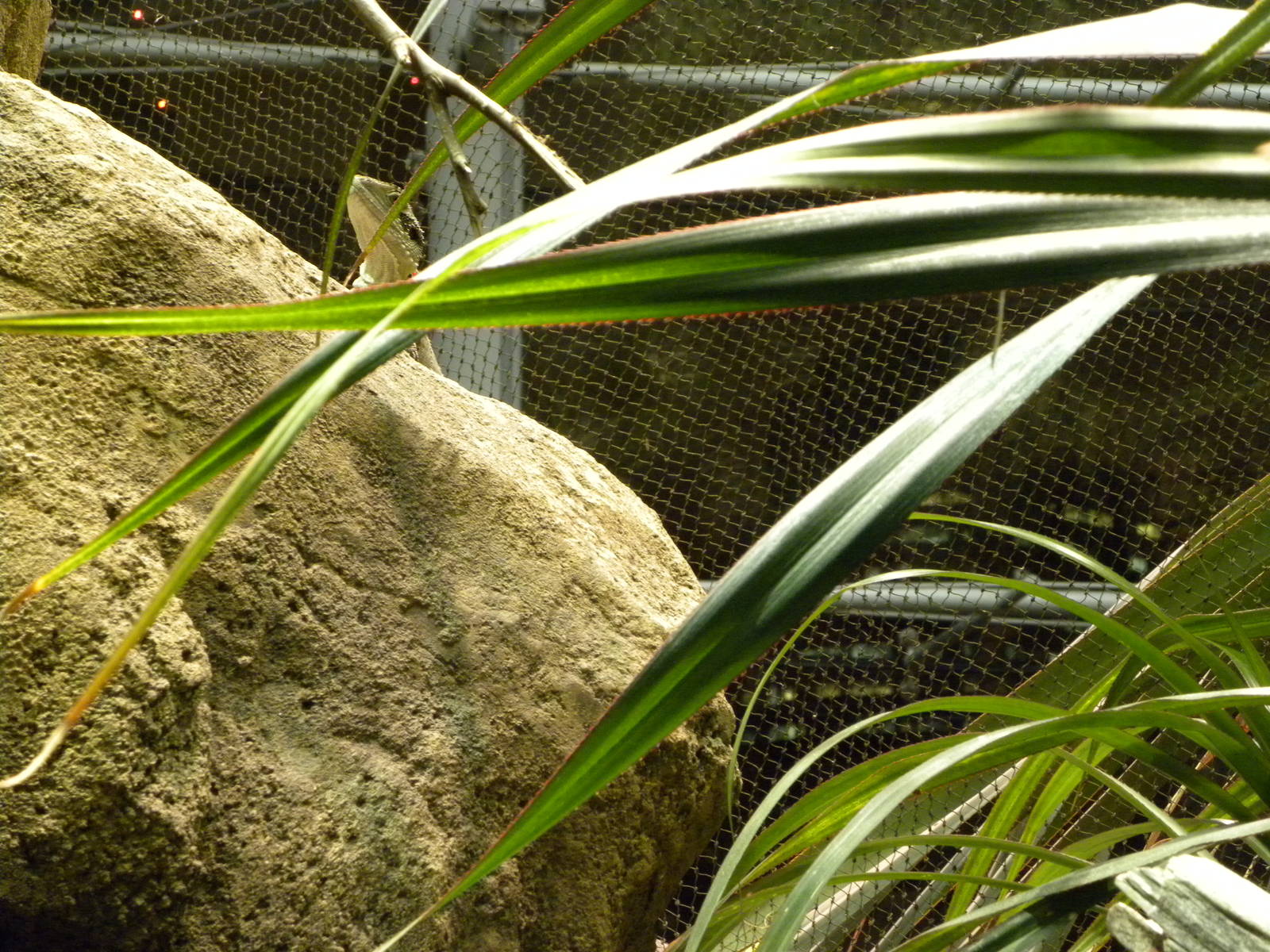 Australia: Wild Extremes