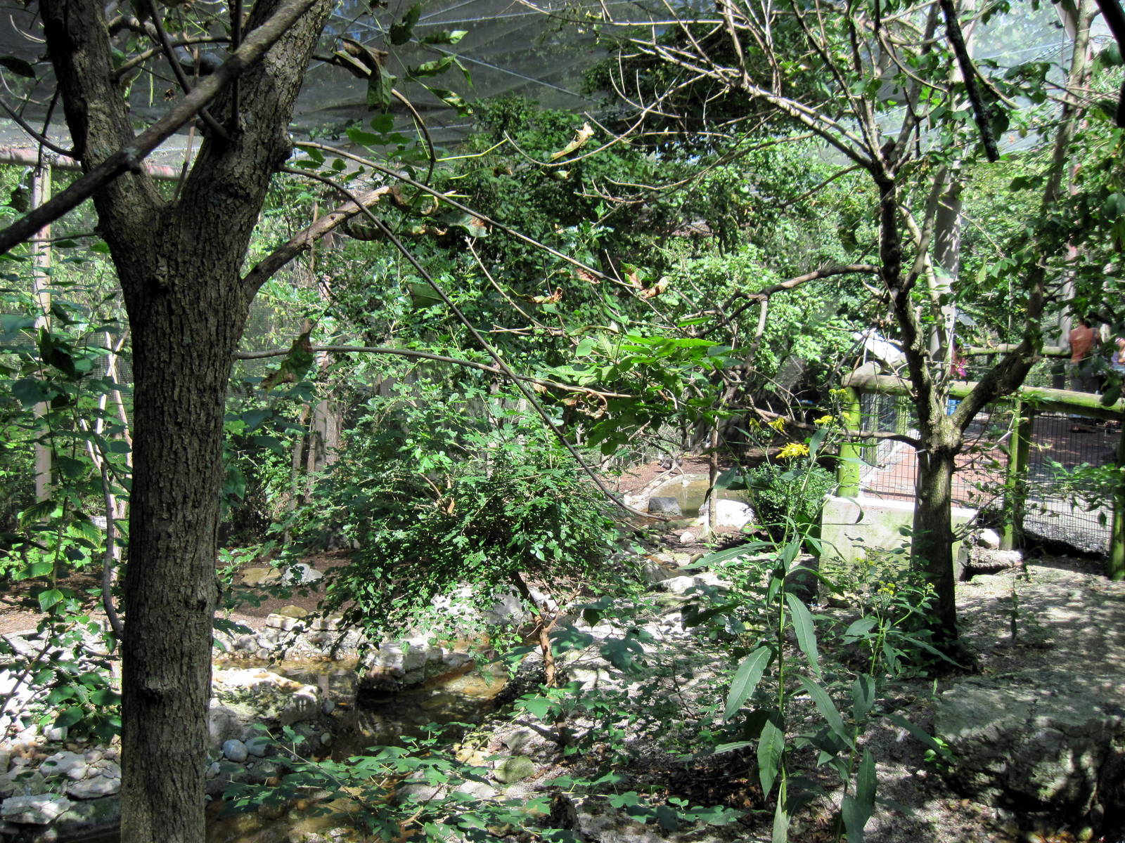 Australia-Woodland Aviary