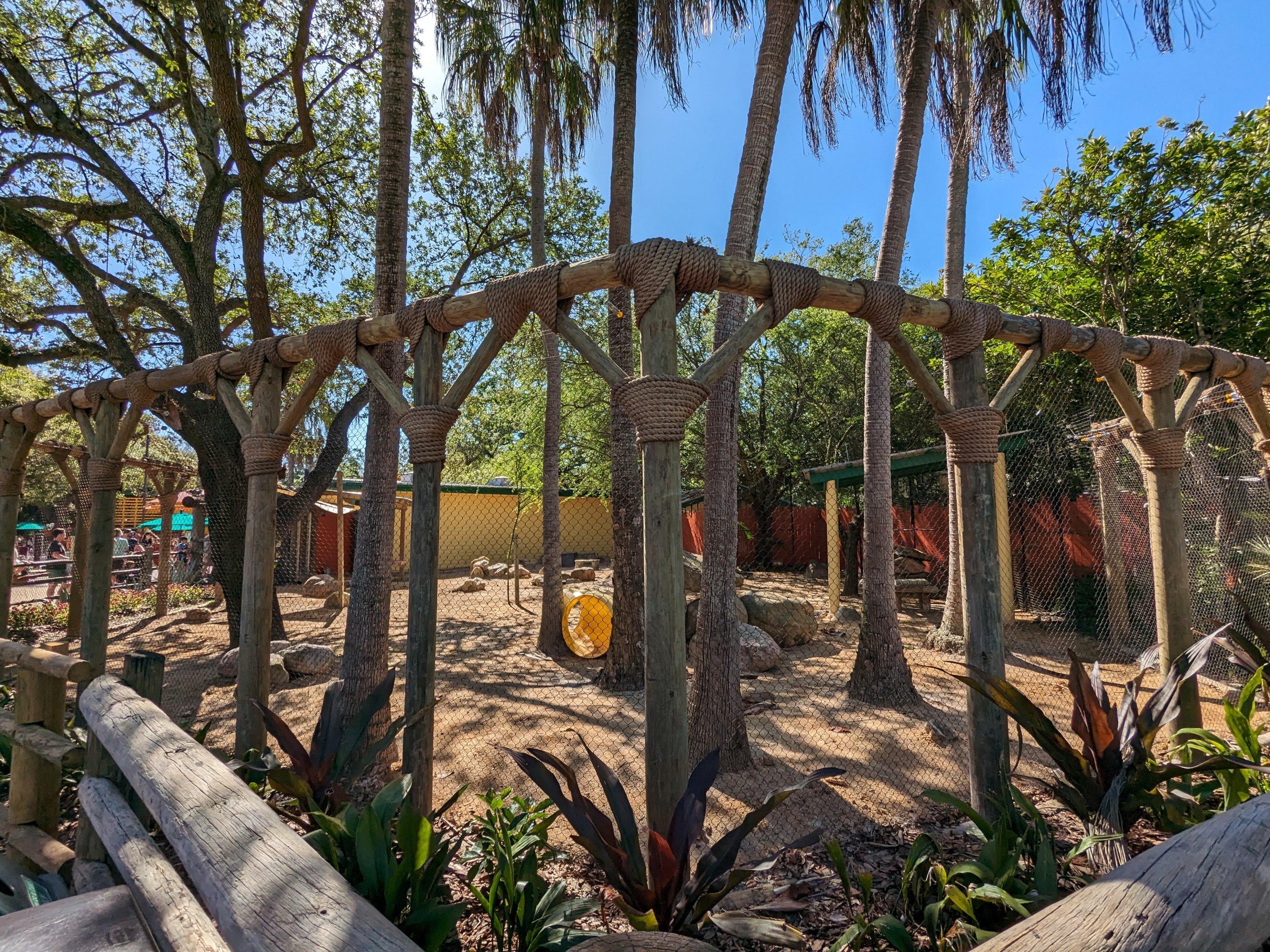 Australia - Yellow footed rock wallaby habitat view