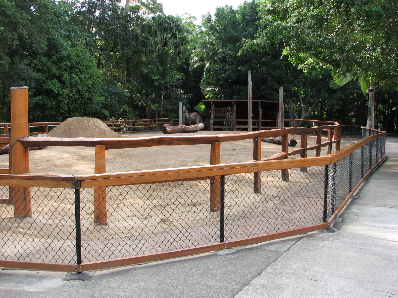 Australia Zoo 2007 - Arabian Camel enclosure