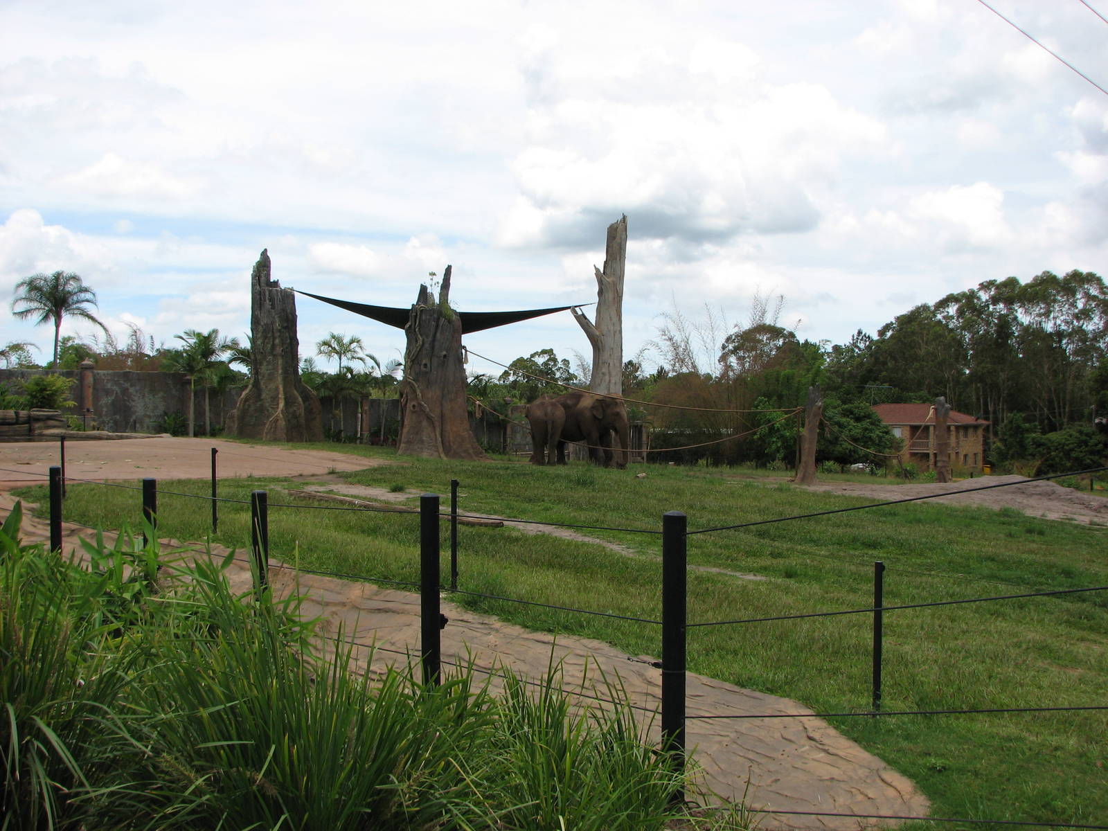 Australia Zoo 2007 - Asiatic Elephant exhibit