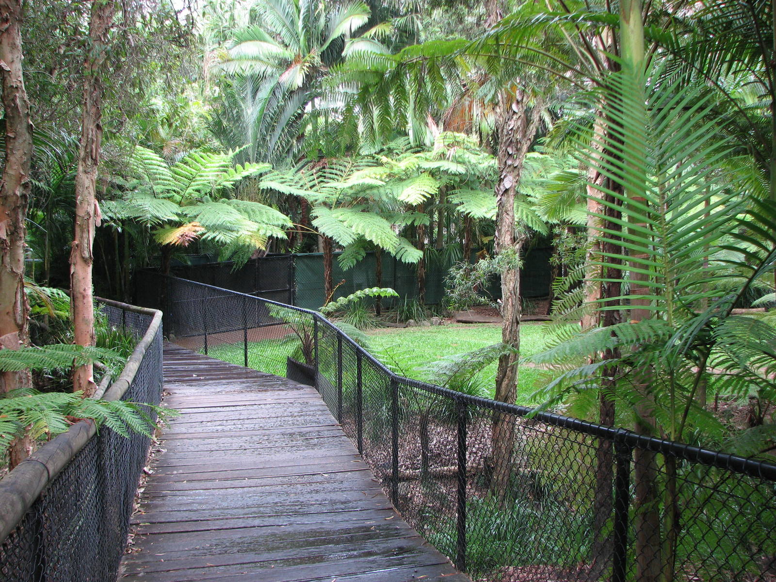 Australia Zoo 2007 - Boardwalk past the Dingo exhibit
