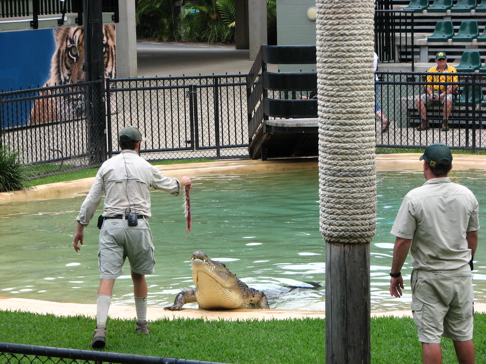 Australia Zoo 2007 - Crocoseum