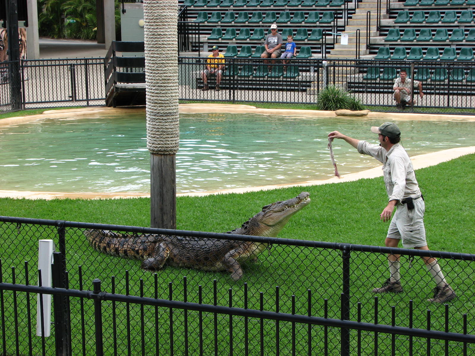 Australia Zoo 2007 - Crocoseum