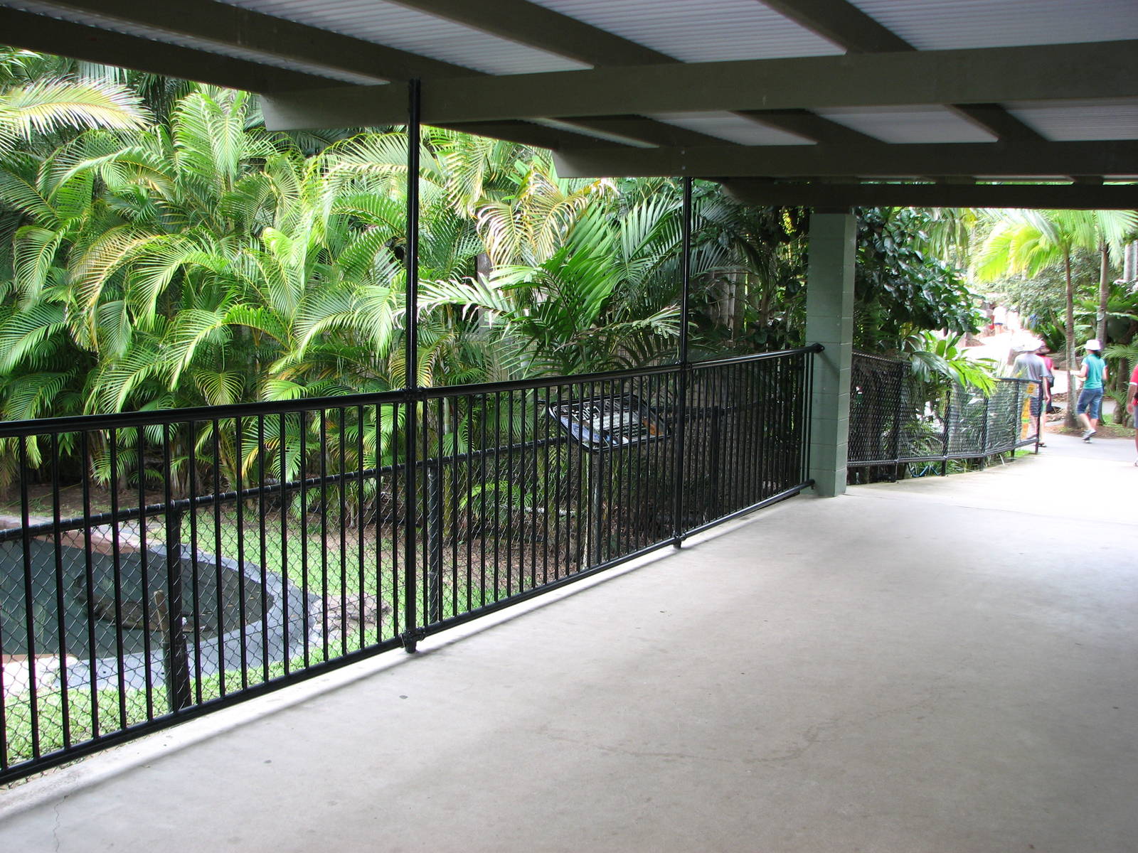 Australia Zoo 2007 - Front of an American Alligator exhibit
